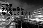 京都市右京区のこだま（株）