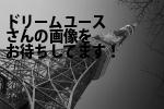 京都市下京区の（株）ドリームユース