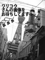 京都市中京区の（有）ワリコウ